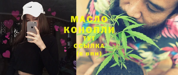 гидра Инта