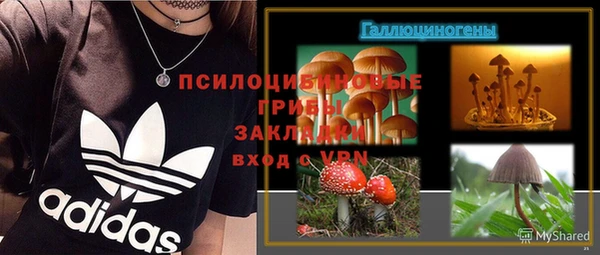 дживик Алексеевка