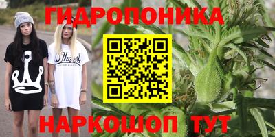 дживик Жуковский