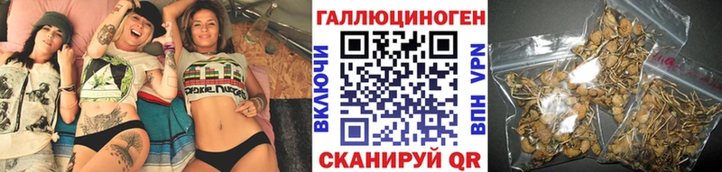 OMG вход  Краснознаменск  Галлюциногенные грибы GOLDEN TEACHER 