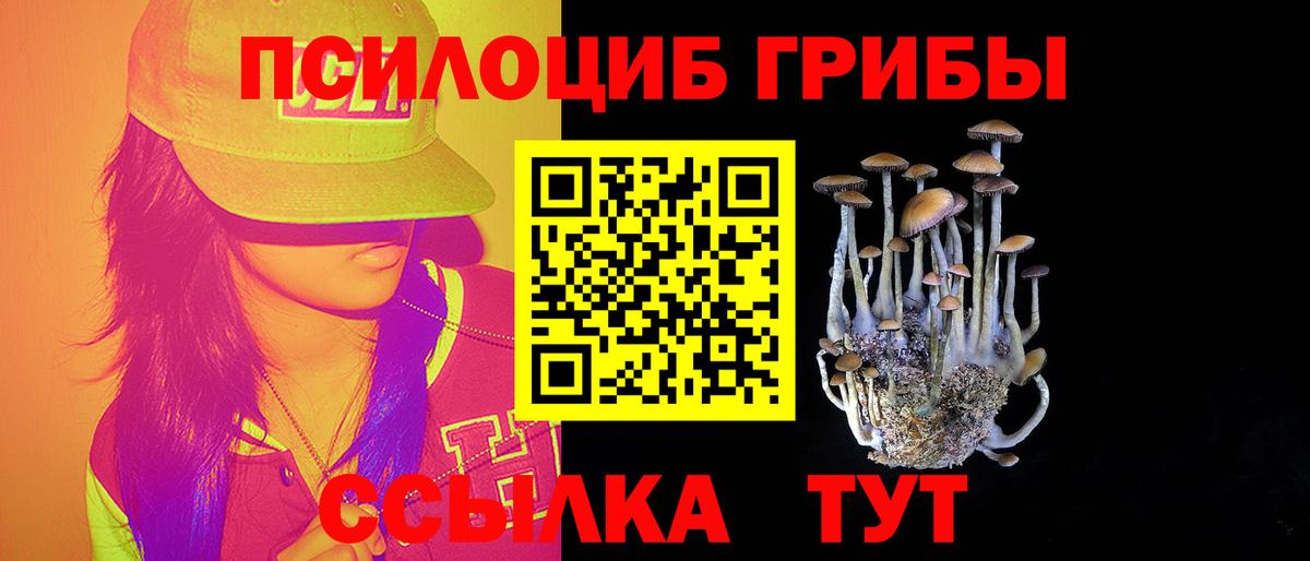 Галлюциногенные грибы Psilocybe Краснознаменск