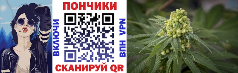Конопля сатива  гидра ССЫЛКА  Краснознаменск 