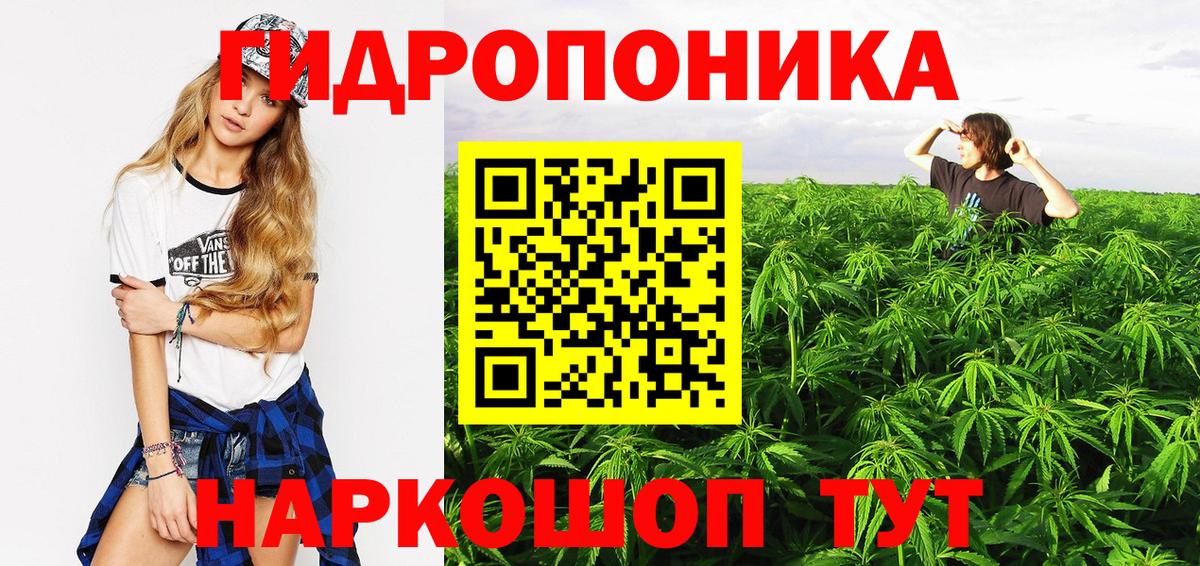 Бошки марихуана Amnesia Краснознаменск